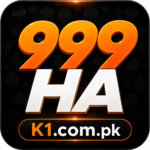 999HA Game feature interface