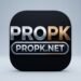 PROPK Game feature image interface